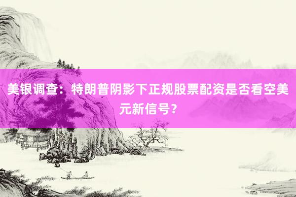美银调查：特朗普阴影下正规股票配资是否看空美元新信号？