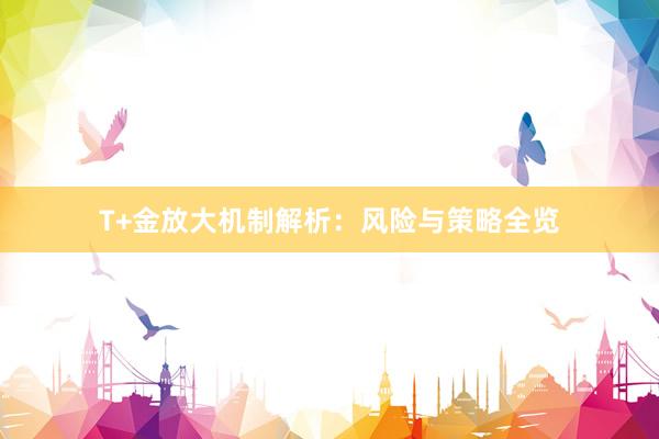 T+金放大机制解析：风险与策略全览
