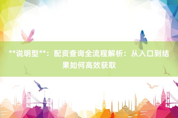 **说明型**：配资查询全流程解析：从入口到结果如何高效获取